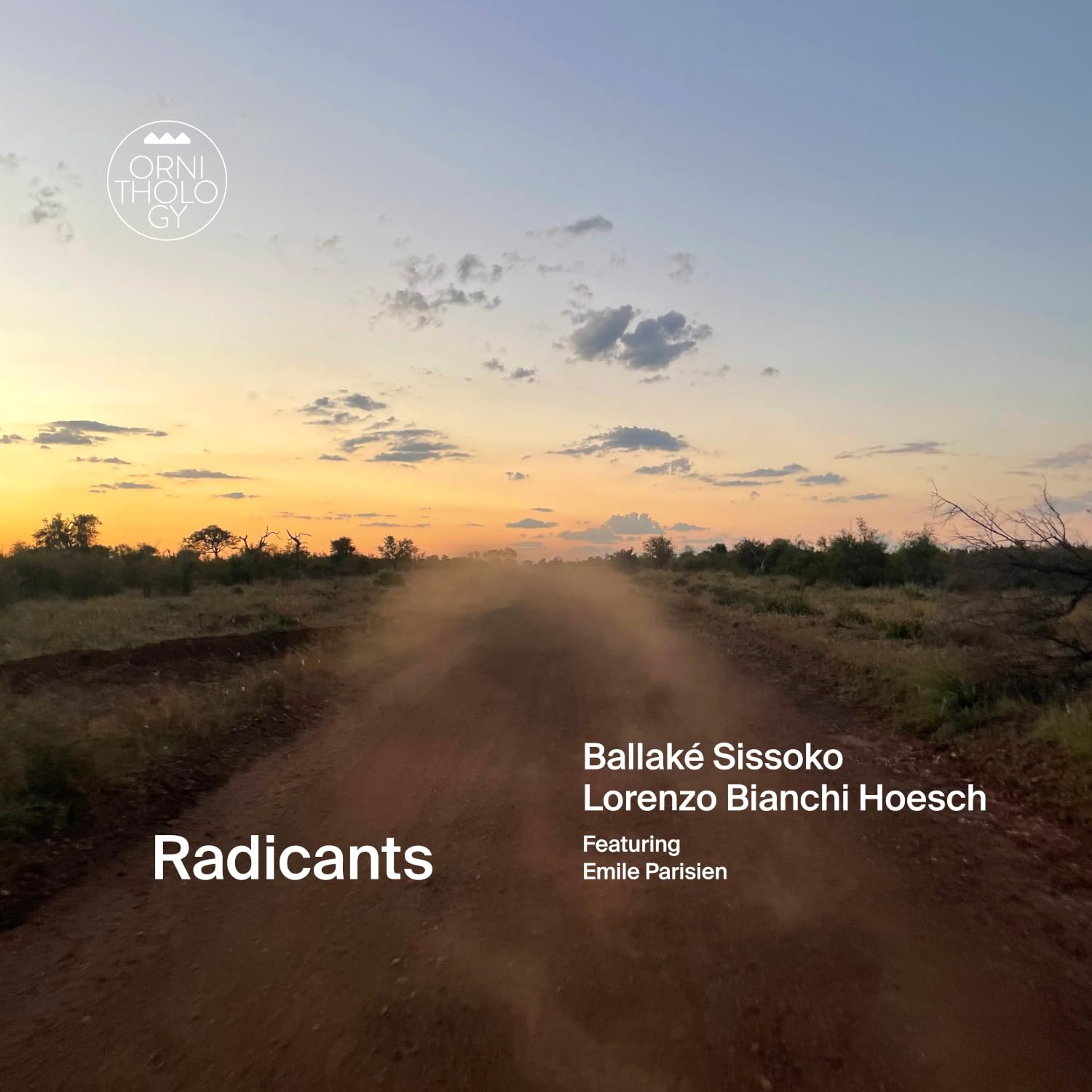 Lp-Ballake Sissoko/Lorenzo Bianchi Hoesch-Radicant