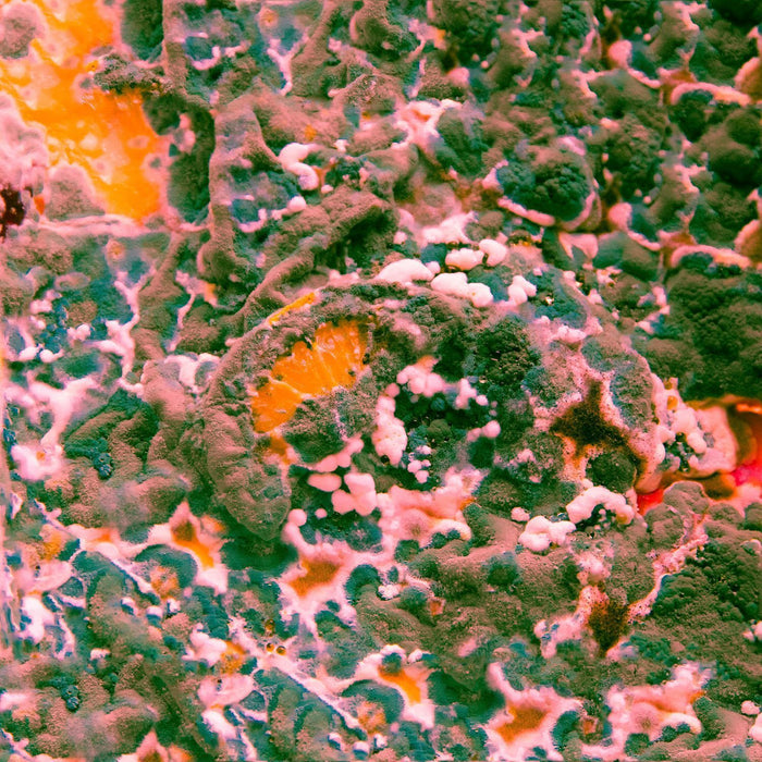 Sugar Blind & Deaf Blind (RSD 2021)