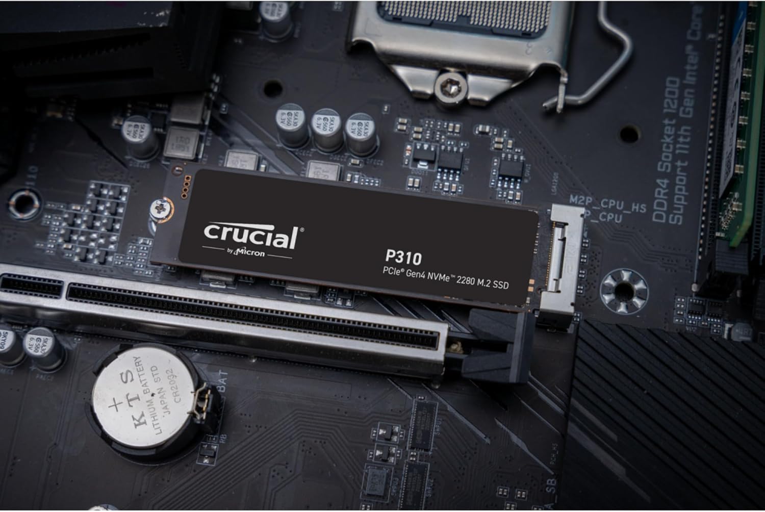 CRUCIAL P310 2280 SSD 500GB M.2 PCIe Gen4 NVMe Internes Solid-State-Module