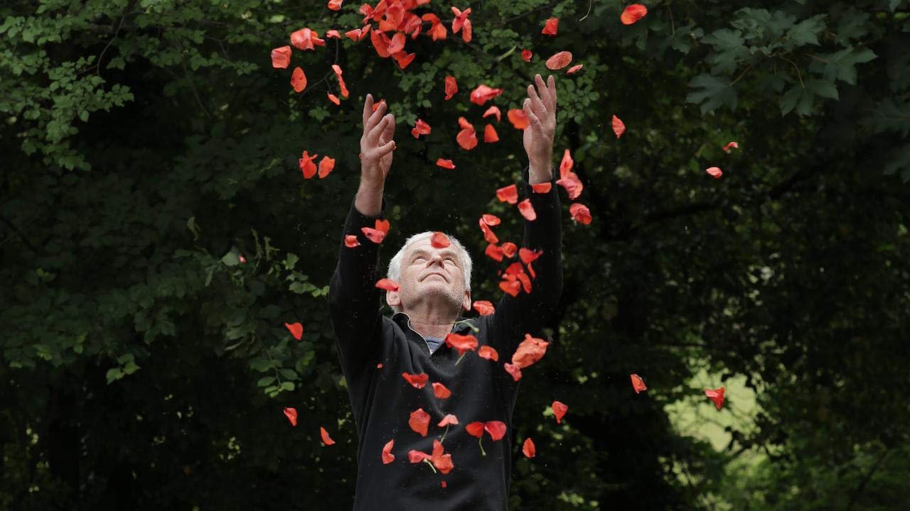 Coffret andy goldsworthy 2 films : rivers tides ; penché dans le vent