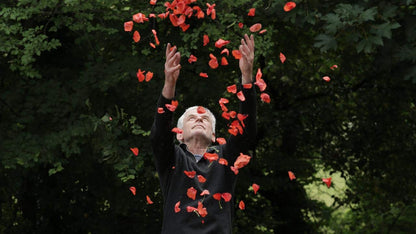 Coffret andy goldsworthy 2 films : rivers tides ; penché dans le vent