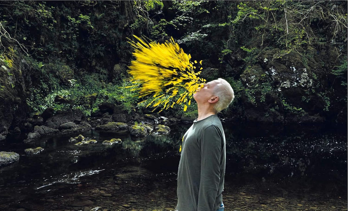 Coffret andy goldsworthy 2 films : rivers tides ; penché dans le vent