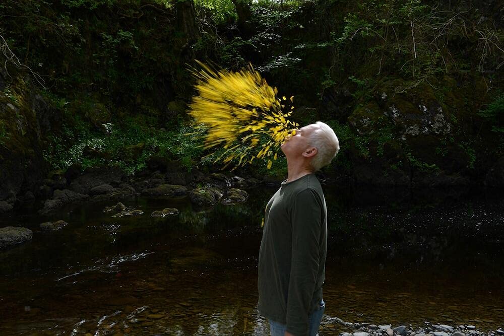 Coffret andy goldsworthy 2 films : rivers tides ; penché dans le vent