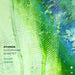 Atomos Saxophone Quartet: Sharp Green
