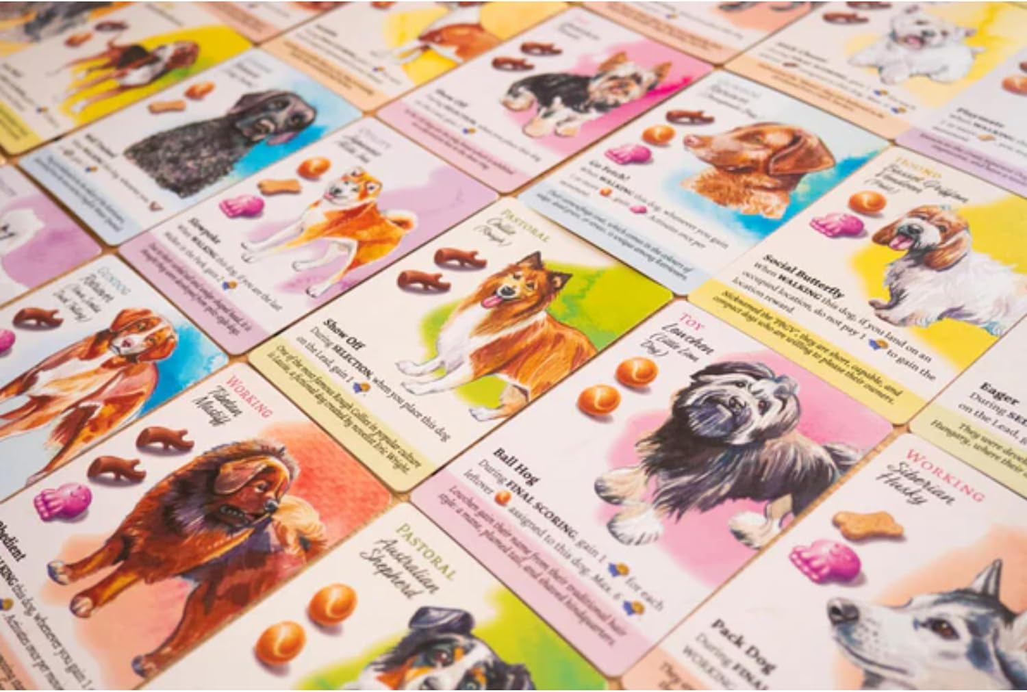 BIRDWOOD GAMES Dog Park: Dogs of the World Expansion Pack