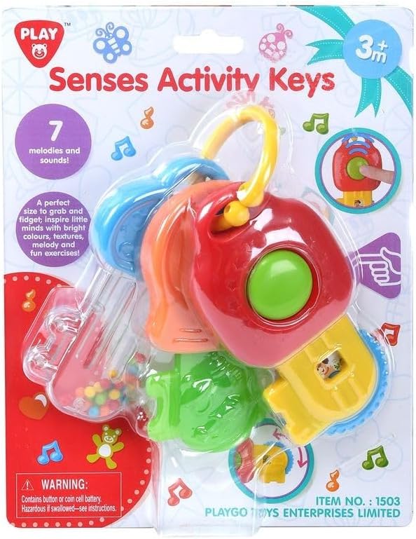 Playgo Senses Activity Keys