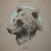 Acoustic Live - Volume 1