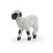 PAPO Black-nosed Valais lamb