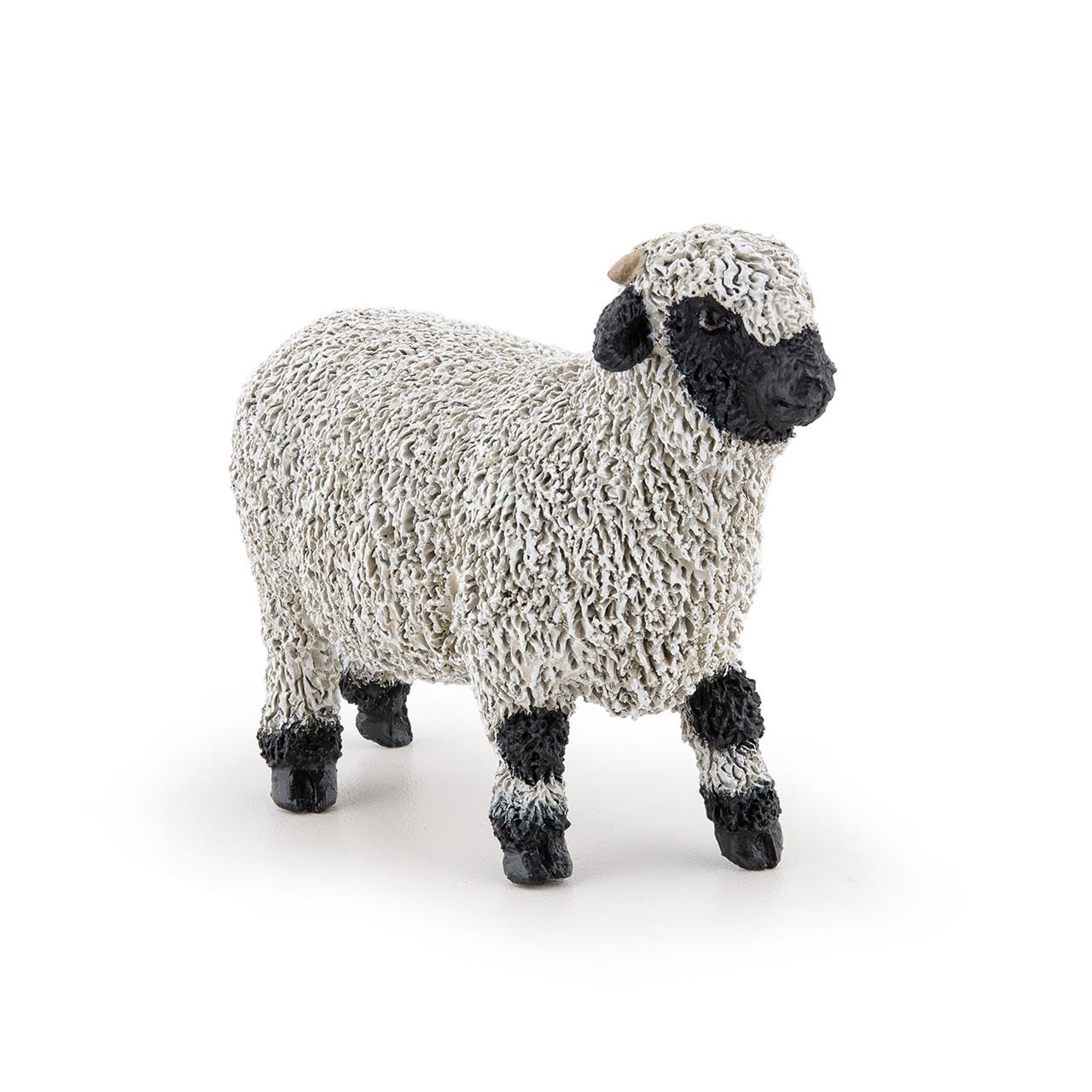 PAPO Black-nosed Valais lamb