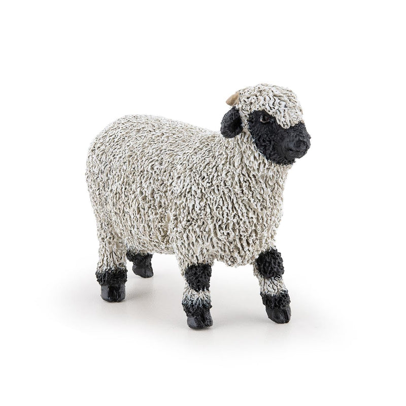 PAPO Black-nosed Valais lamb