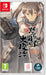 DoDonPachi Resurrection Nintendo Switch