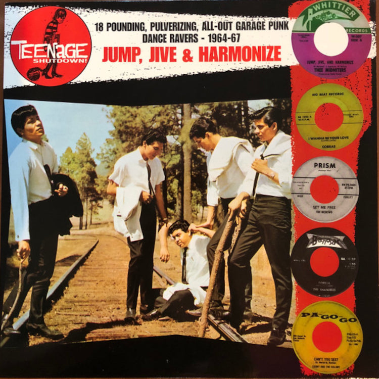 Teenage Shutdown! - Jump, Jive & Harmonize: 18 Pounding, Pulverizing, All-out Garage Punk Dance Ravers