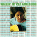 Walkin' My Cat Named Dog (Green & Purple "What We Do in the Shadows"