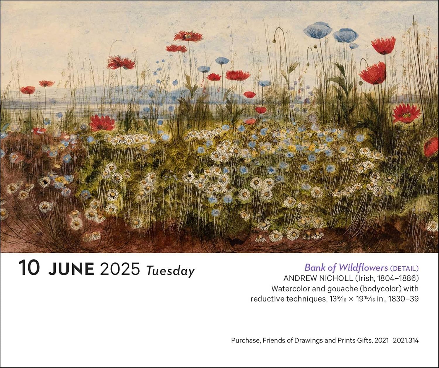 Art of Flowers 2025 Day-to-Day Calendar