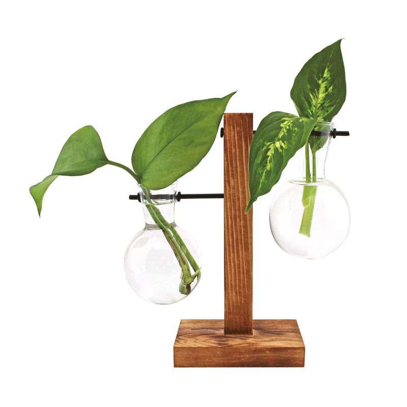 Winkee - Hydro Vases Flower Vase