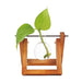 Winkee - Hydro Vases Lilly - Vase