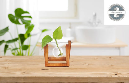 Winkee - Hydro Vases Lilly - Vase