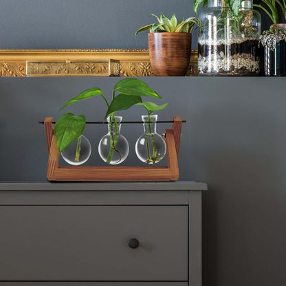 Winkee - Hydro Vases Blossom - Vase