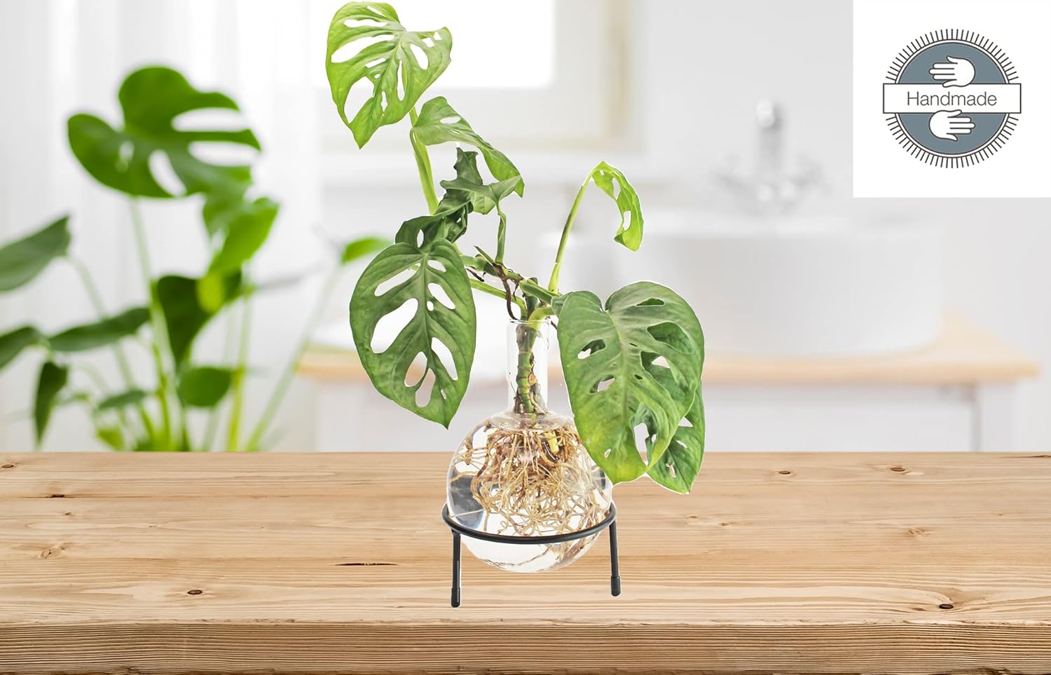 Winkee - Hydro Vase Flora