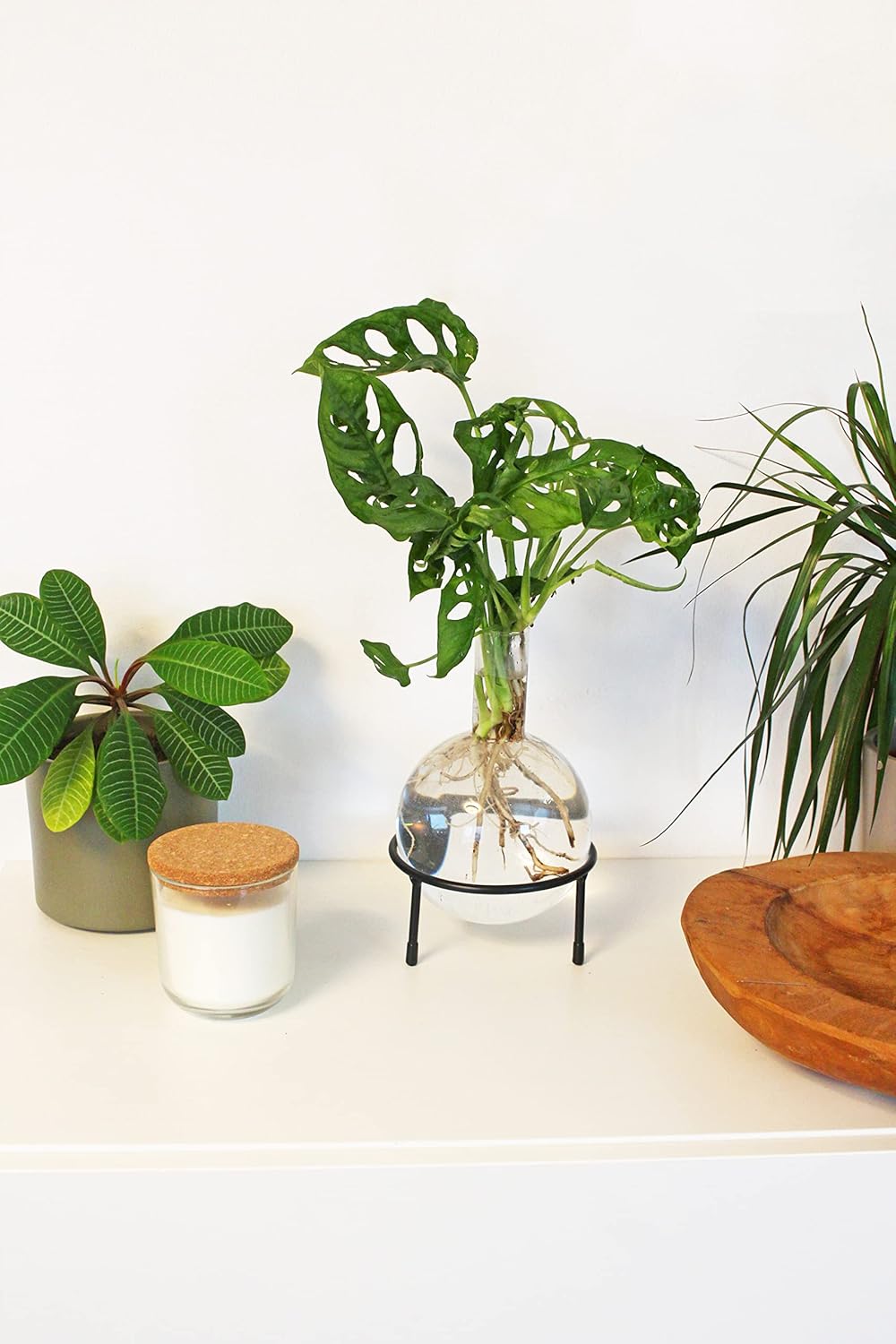 Winkee - Hydro Vase Flora