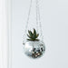 Winkee - Planter - Disco Hanging Planter - 10 Cm