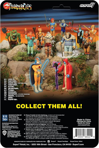 Super7 Thundercats Mirror Lion-O - 3.75" Thundercats Action Figure with Accessory Classic TV Show Collectibles and Retro Toys