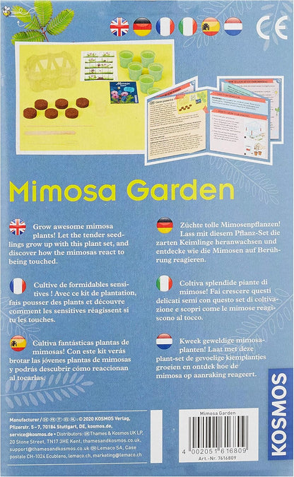 Kosmos 616809 Mimosa Garden - Mimosen Garten, Pflanzen züchten und erforschen Experimentier Set für Kinder mit mehrsprachiger Anleitung (DE, EN, FR, IT, ES, NL) Multicolor
