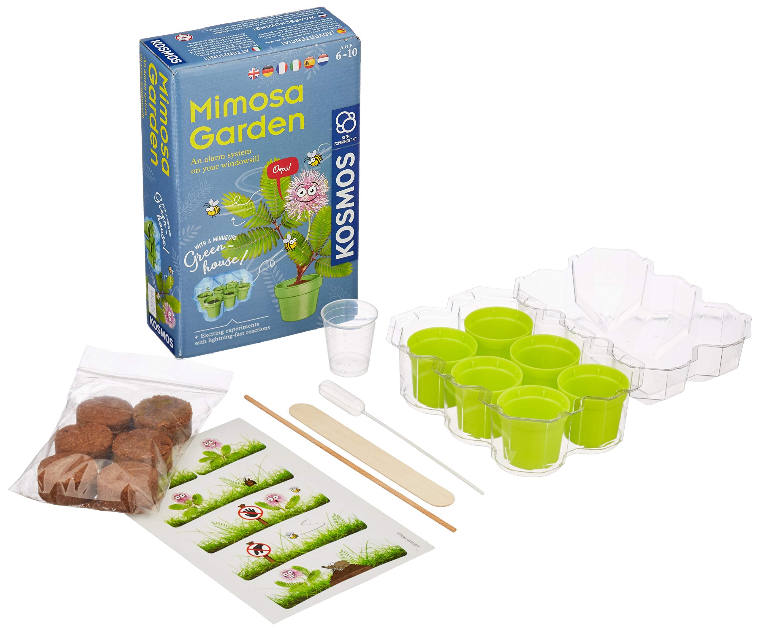 Kosmos 616809 Mimosa Garden - Mimosen Garten, Pflanzen züchten und erforschen Experimentier Set für Kinder mit mehrsprachiger Anleitung (DE, EN, FR, IT, ES, NL) Multicolor