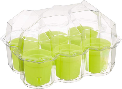 Kosmos 616809 Mimosa Garden - Mimosen Garten, Pflanzen züchten und erforschen Experimentier Set für Kinder mit mehrsprachiger Anleitung (DE, EN, FR, IT, ES, NL) Multicolor