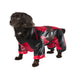 Rubie's Official Deadpool Dogpool Pet Costume, Dog/Pet Fancy Dress, Size M