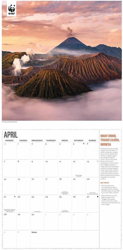 2025 Wwf Fragile Earth Wall