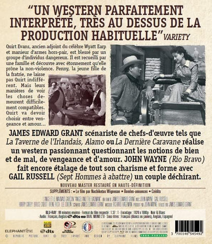 L'Ange et le Mauvais Garçon