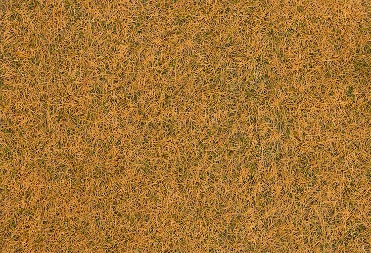 Faller 170260 Streufasern Wildgras, verdorrt, 4 mm, 1 kg, weiß