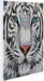 Craft Buddy Crystal Art CAK-A96M Witte Tijger, 30x30cm Crystal Art Kit