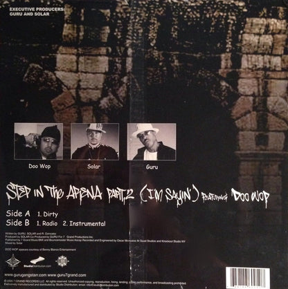 Step in the Arena 2