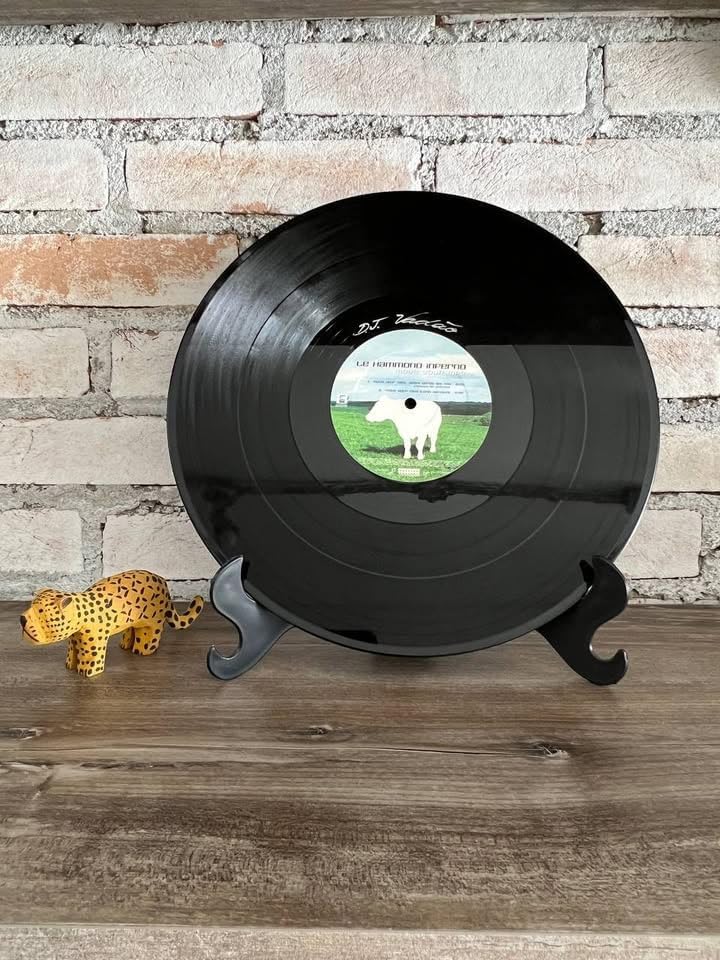 Move Your Mp3
