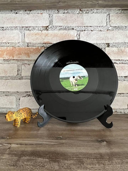 Move Your Mp3