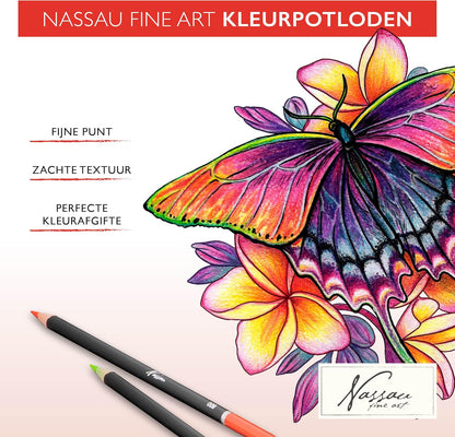 VAN NASSAU FINE ART Professionele 160-delige set kleurpotloden in een presentatiedoos van plaatstaal | houten stiften tekenset | hoogwaardige kleurpotloden | voor kinderen en volwassenen 160 pieces
