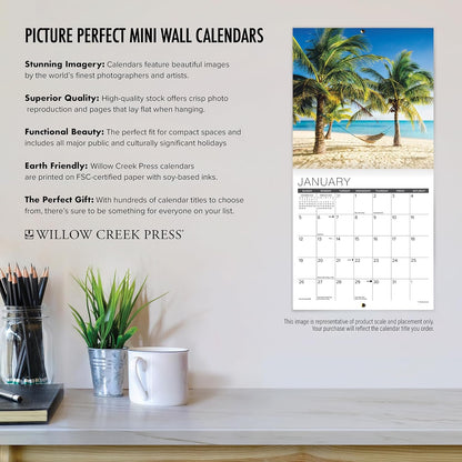 Willow Creek Press Compatible with Licensed Simon's Cat 2025 7" x 7" Mini Wall Calendar