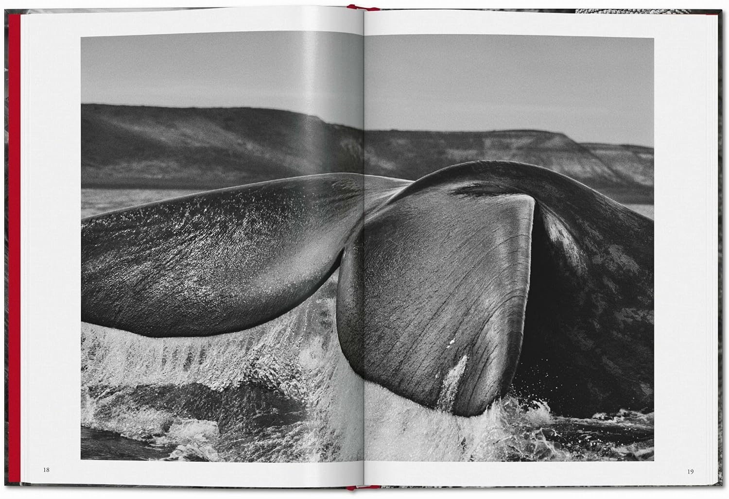 Sebastião Salgado