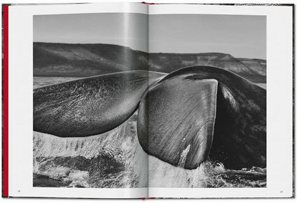 Sebastião Salgado