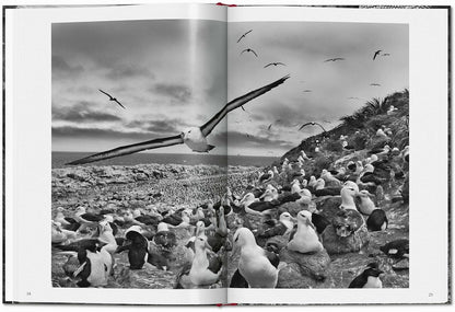 Sebastião Salgado
