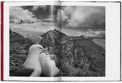 Sebastião Salgado