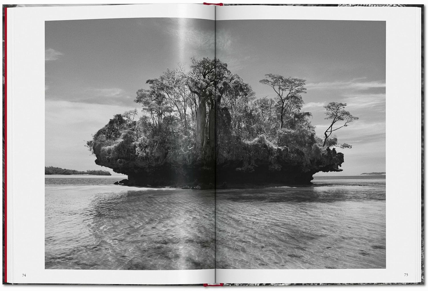 Sebastião Salgado