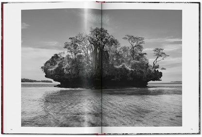 Sebastião Salgado
