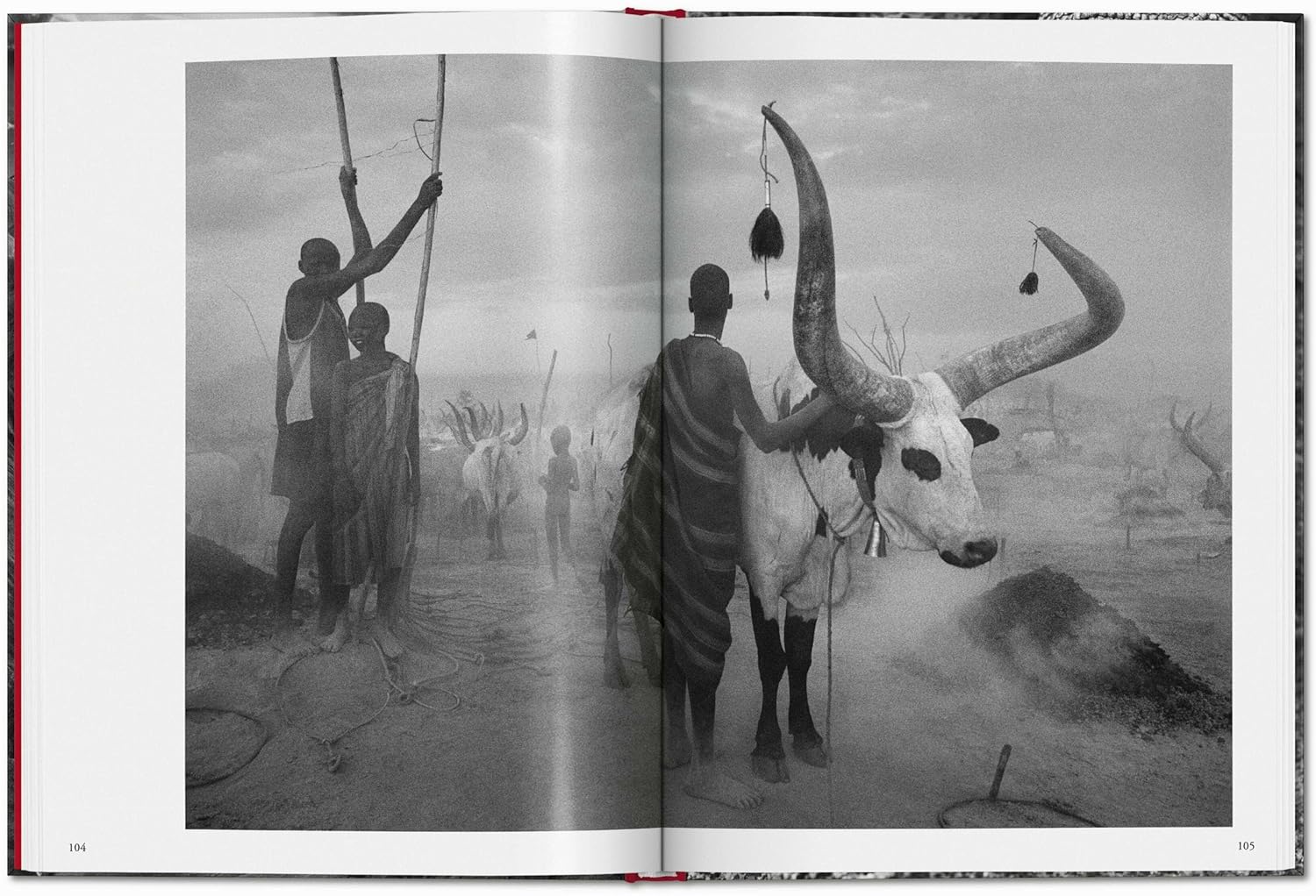 Sebastião Salgado