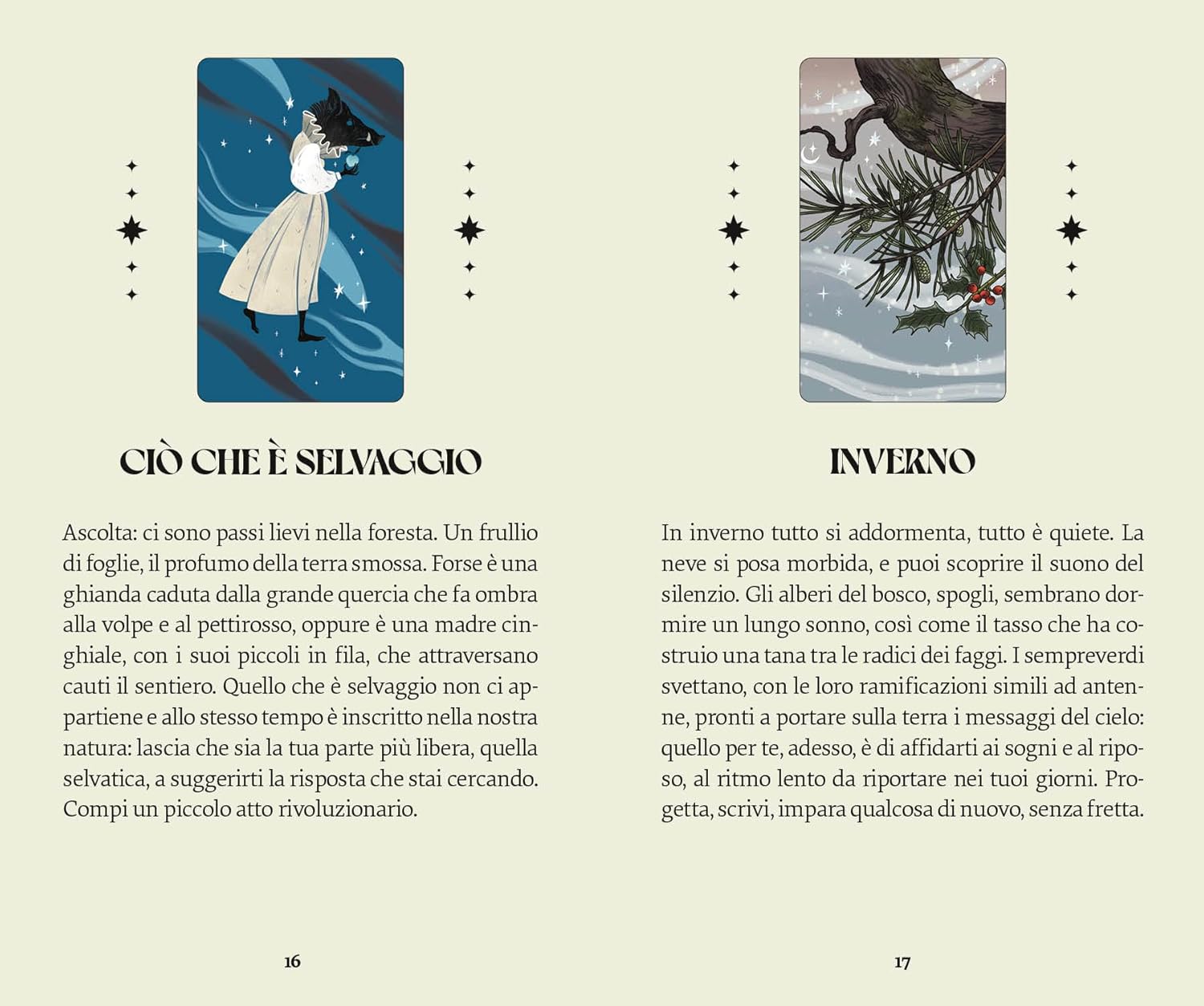 Oracolo della strega Herbana. Con Libro