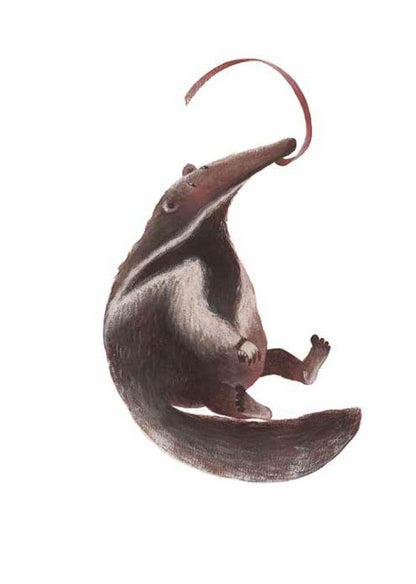 Elisa Mazzoli - La Ginnastica Degli Animali. Ediz. A Colori