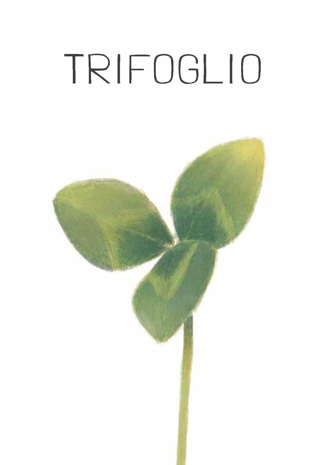Elisa Mazzoli / Alice Bruscoli - Natura In Gioco