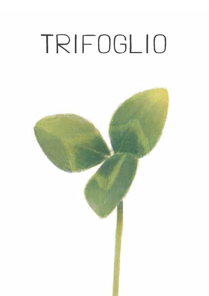 Elisa Mazzoli / Alice Bruscoli - Natura In Gioco